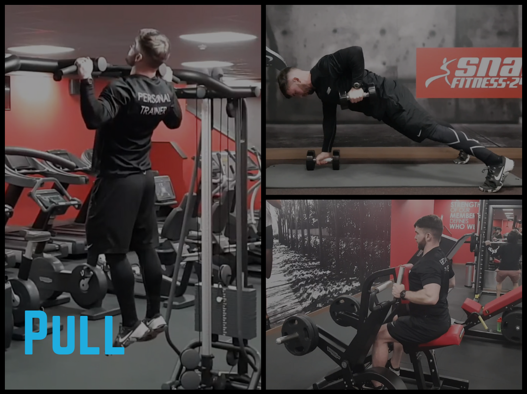 Pull (Upper Body) - Pullup, Renegade Row, Seated Row Machine