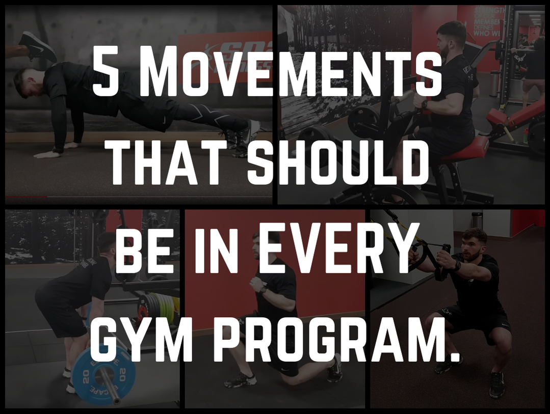 5 Movements That Should be In Every Gym Program